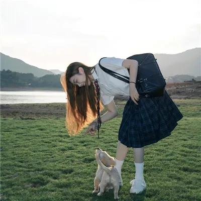 弗拉门戈